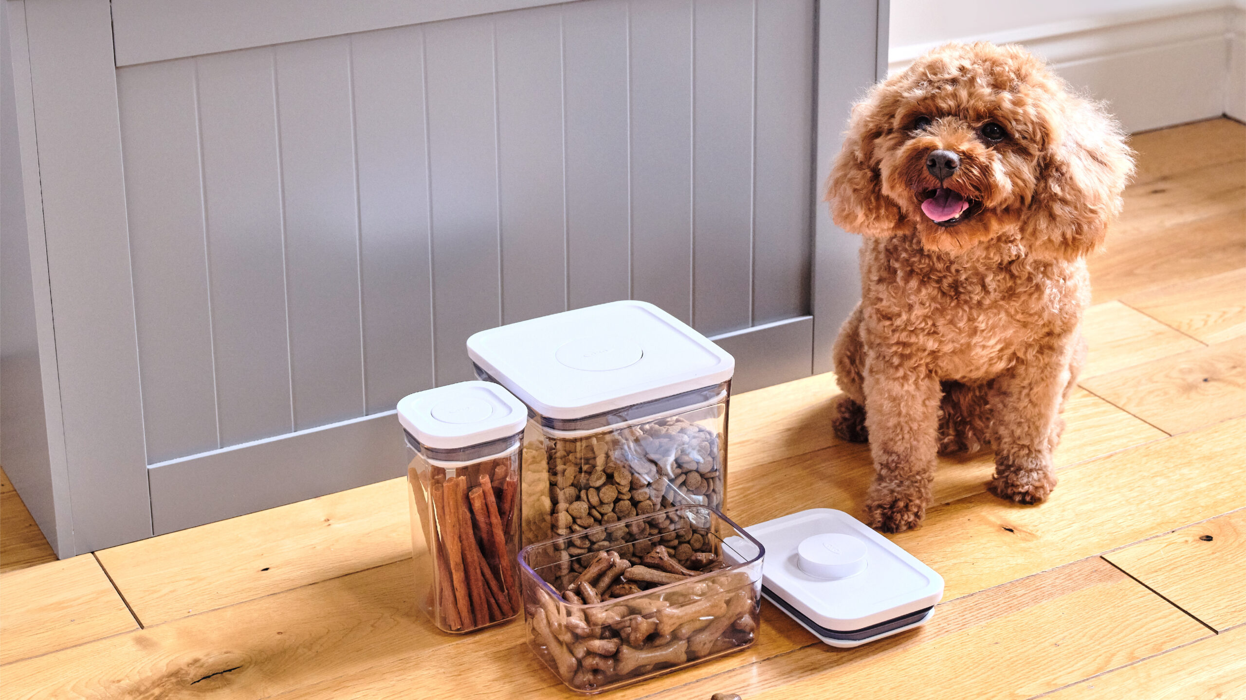 Guide to OXO POP Containers - How to Use the Dry Food Storage Containers